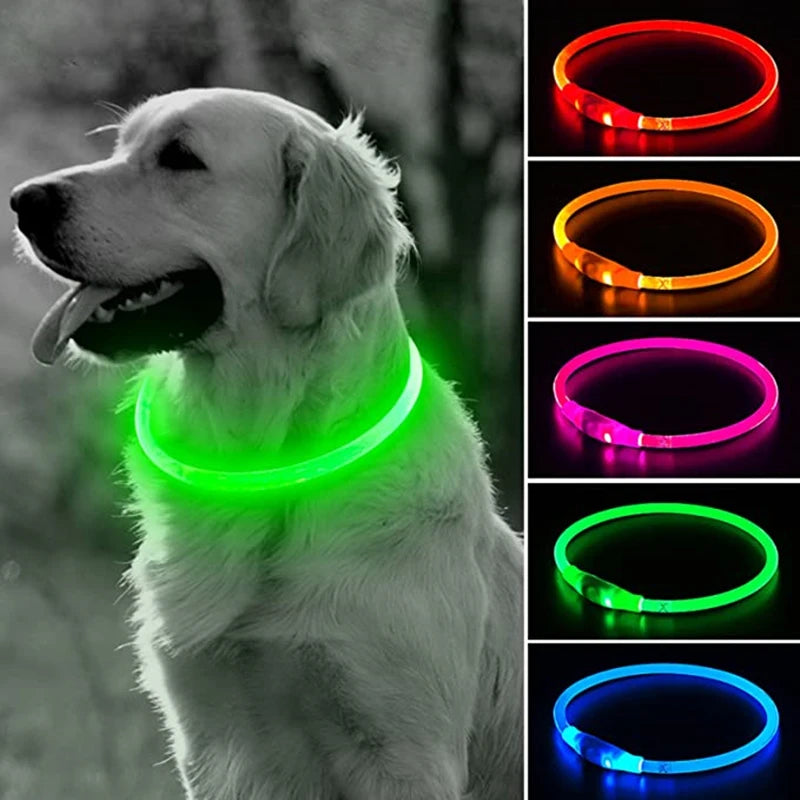 Coleira LED USB recarregável para cachorro