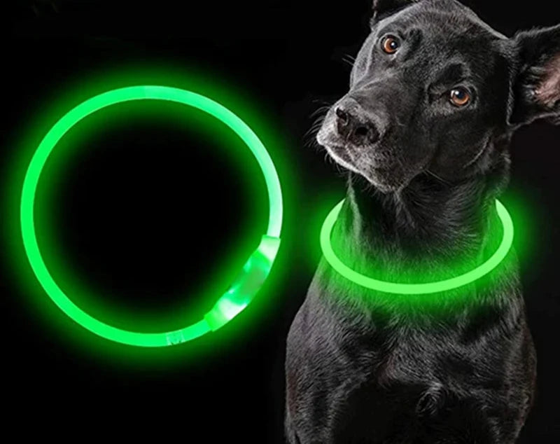 Coleira LED USB recarregável para cachorro