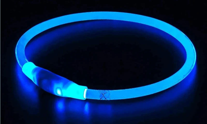 Coleira LED USB recarregável para cachorro